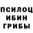 Псилоцибиновые грибы ЛСД Gennady Miroshnichenko