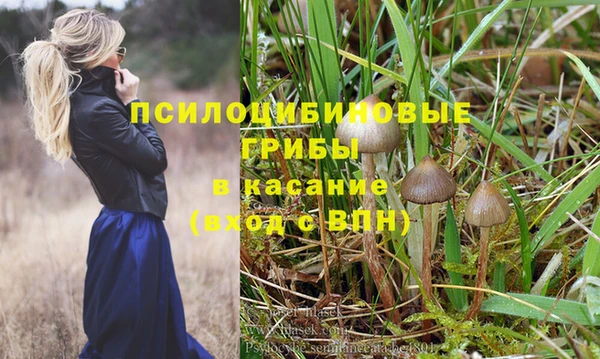 мдпв Михайлов